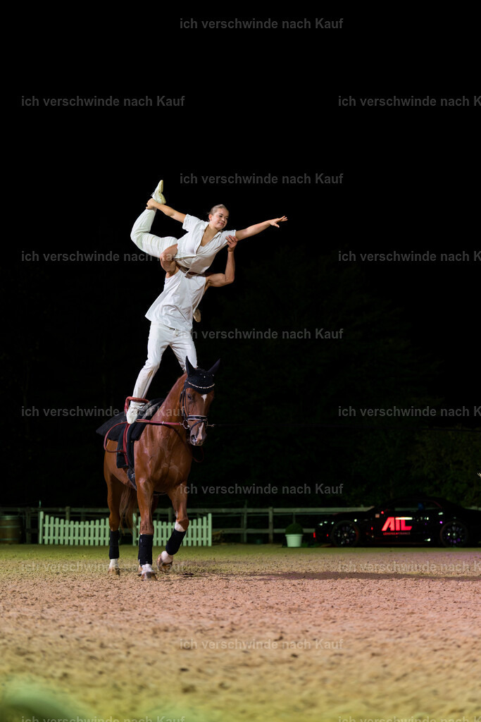 Gala-321 | working equitationturnier fotograf videograf stoibphotography marixx film working equitation deutschland reitsport turnierfotografie eventfotografie equestrian events