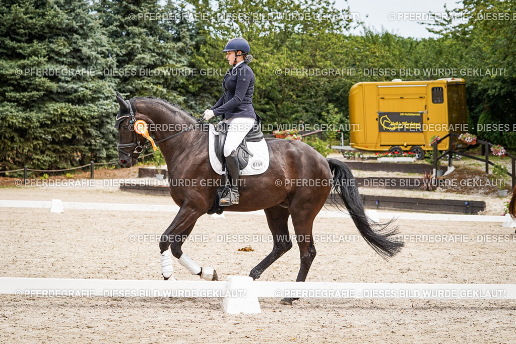 DSC04604 | Pferdegrafie