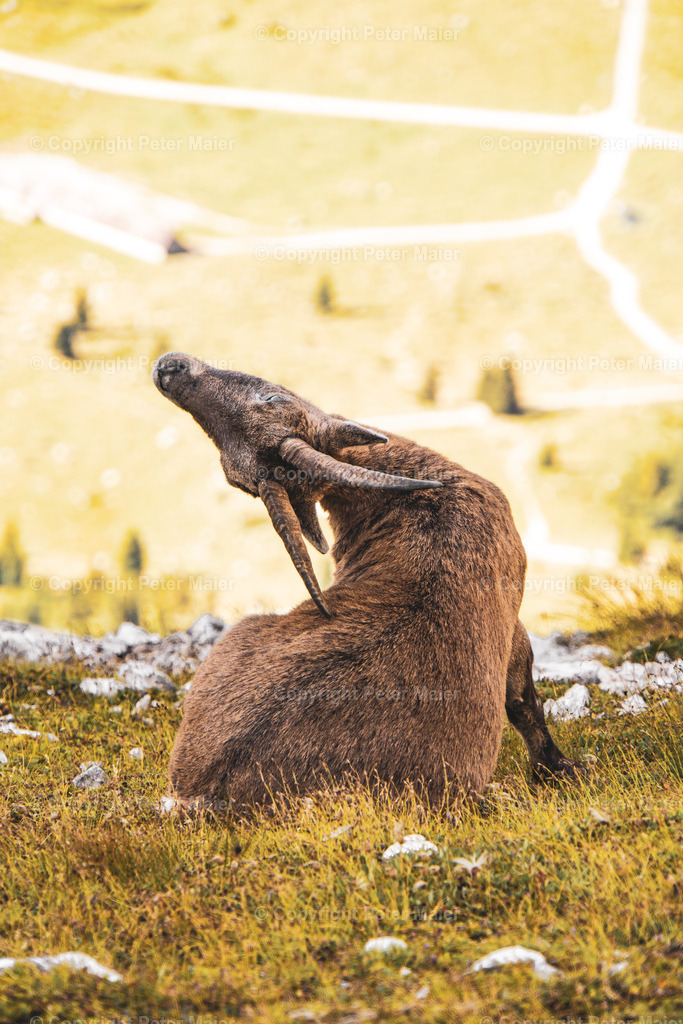 Luca_Vuerich-10 | piet_flosse