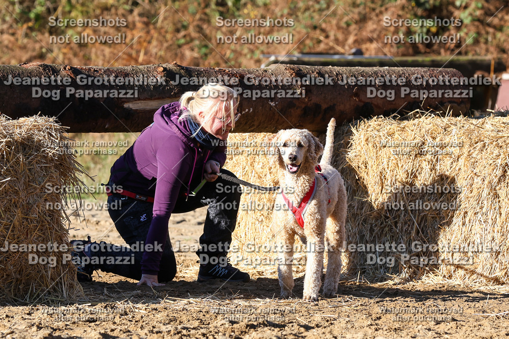 Dog Paparazzi - Strongdog 10-25-1704 | Dog Paparazzi Jeanette Grottendiek Fotografie & Videografie - Realisiert mit Pictrs.com