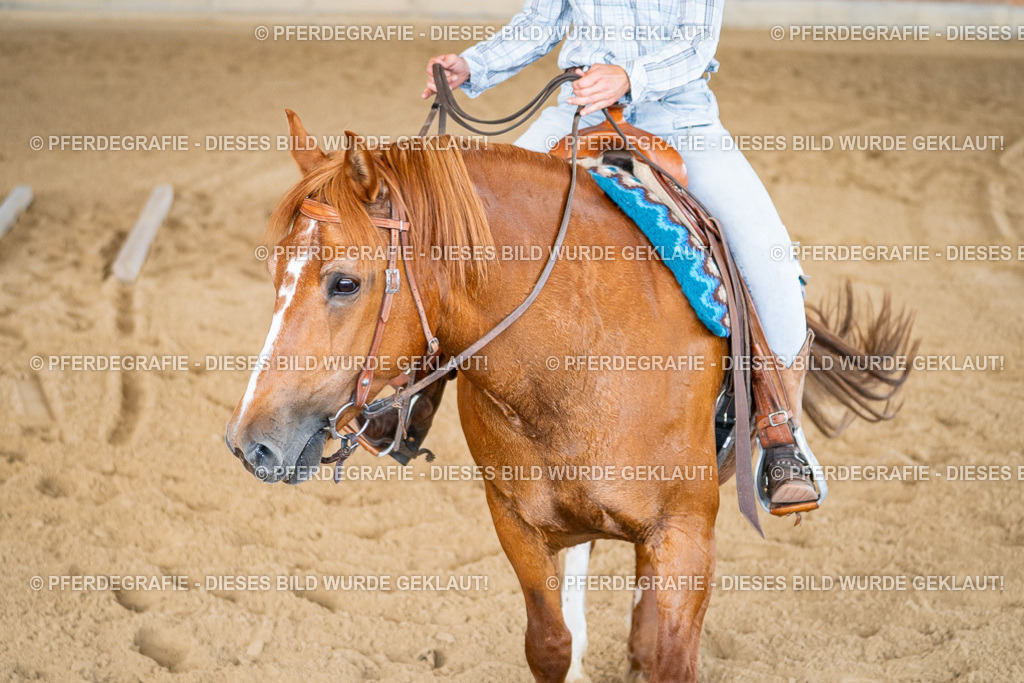 DSC02459 | Pferdegrafie