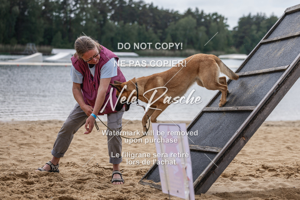 nelerasche_BuHu2026_So1530-Ende_89 | nelerasche
