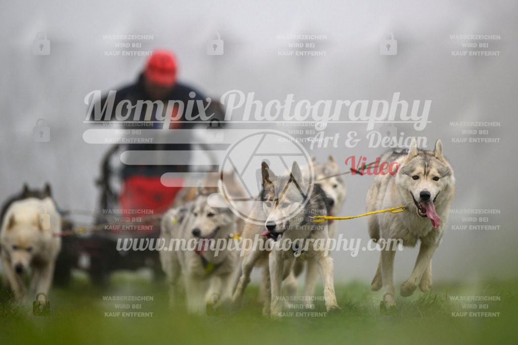 MompixPhotography_CDF2023_FFST_Di_Kart-99 | PayLife