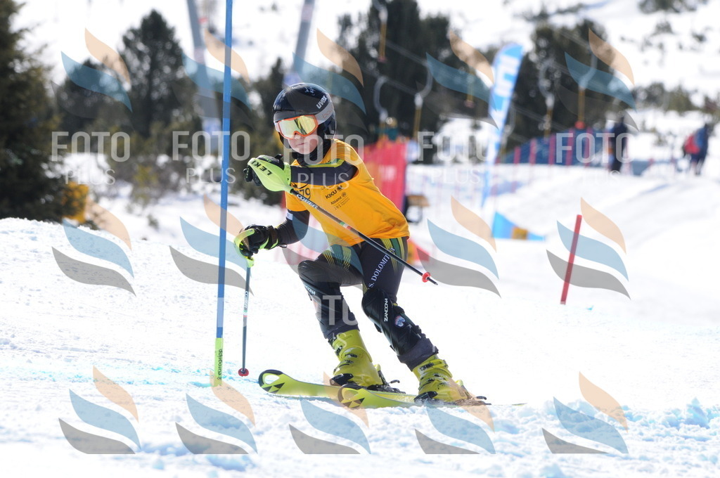 C9013 | holidayphoto