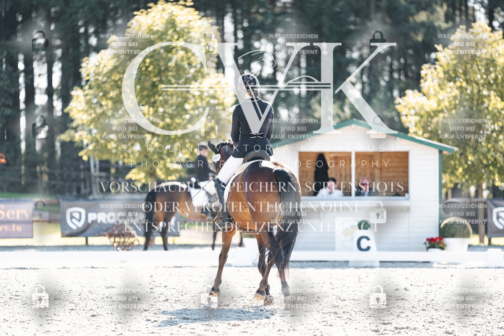 CK906240 | Turnierfotografie Pferdefotografie Trier Rheinland-Pfalz Pferdesport Reitsport Tierfotografie Sportfotografie Pferdevideo Pferdevideografie Equestrianvideography equestrianphotography  - Realisiert mit Pictrs.com