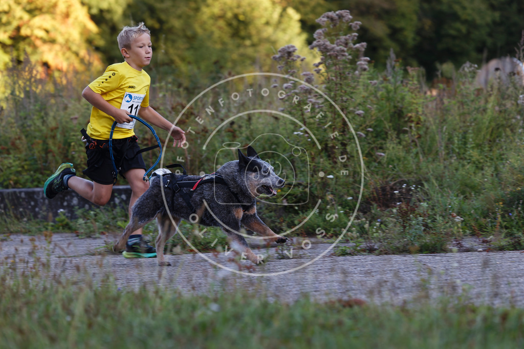 0L8A4340 | Hundefotografie, Tierfotograf, Pfotenfotografie, Fotoshooting Hund, Hunde Portrait, Hundesport, Hundeportraits, Heideshooting, Hunde, Sportfotograf, Hundefotograf, Turnierhundsport, THS,  - Realisiert mit Pictrs.com