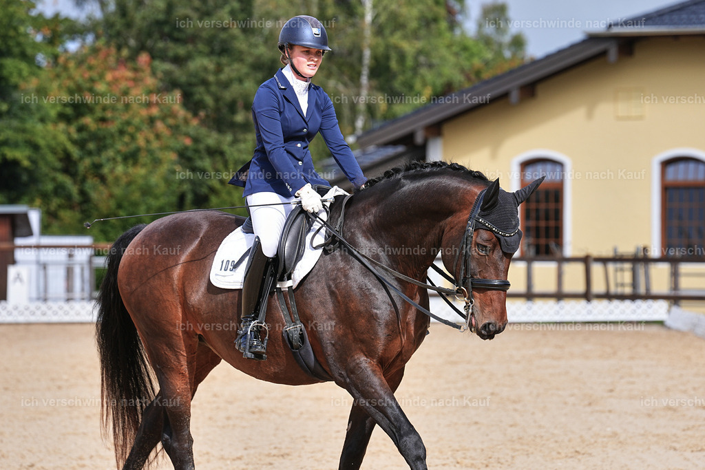 05-109-DRESSUR M_  -Marixx-4974 | working equitationturnier fotograf videograf stoibphotography marixx film working equitation deutschland reitsport turnierfotografie eventfotografie equestrian events