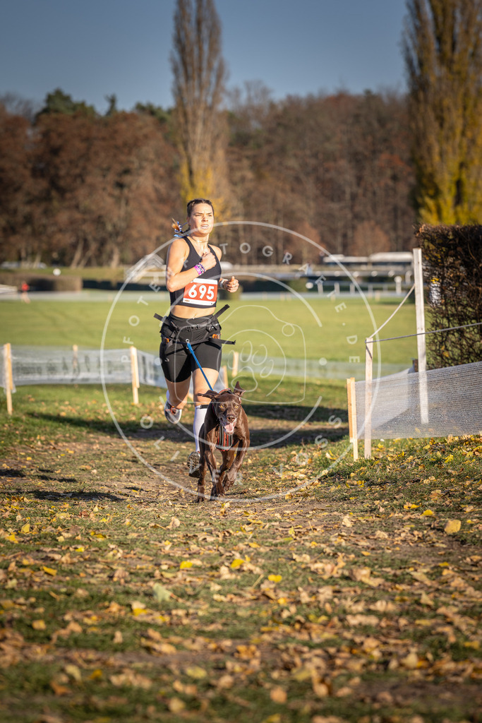CaniXpix_DV3A1377 | Hundefotografie, Tierfotograf, Pfotenfotografie, Fotoshooting Hund, Hunde Portrait, Hundesport, Hundeportraits, Heideshooting, Hunde, Sportfotograf, Hundefotograf, Turnierhundsport, THS,  - Realisiert mit Pictrs.com
