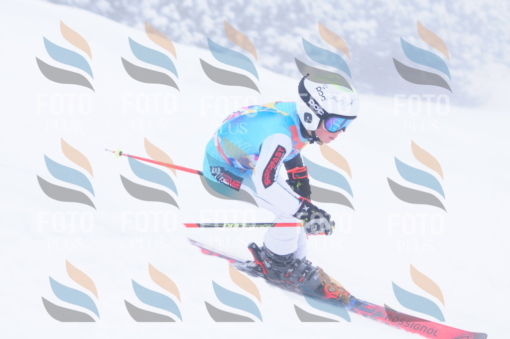 C2186 | holidayphoto