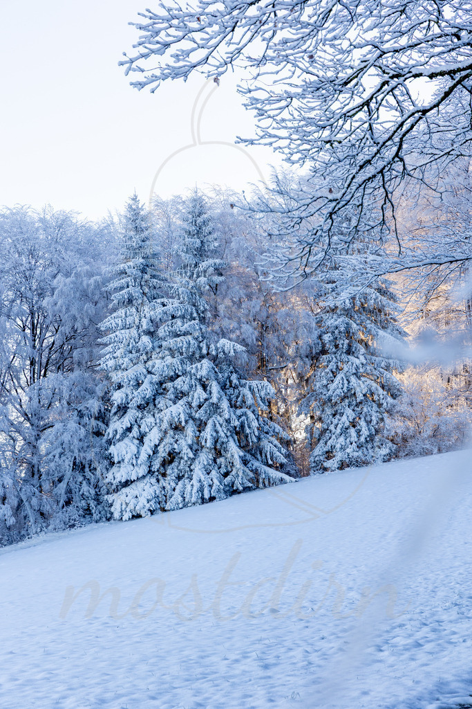 Winterwonderland Randegg | Ihre Fotografin im Lungau, ihre Fotografin im Mostviertel, Wandbilder Onlineshop, Imagefotos für Ihr Unternehmen,  - Realisiert mit Pictrs.com