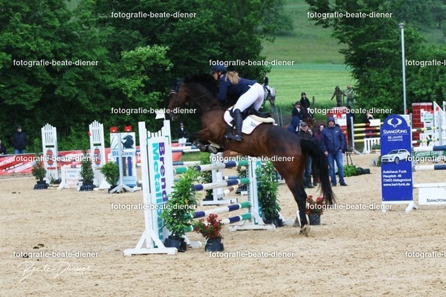 OHT2441 | Fotografie, Tiere, Hunde, Katzen, Pferde, Sportfotografie, Fotosession, Tierfotografie, Turnierfotografie, Fotografin, Fotograf - Realisiert mit Pictrs.com