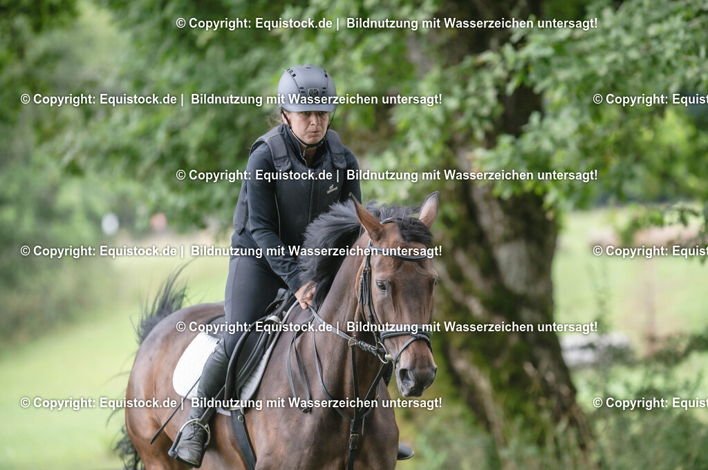 20250726_Vielseitigkeitslehrgang-Marbach_0423 | Foto: Thomas Hartig