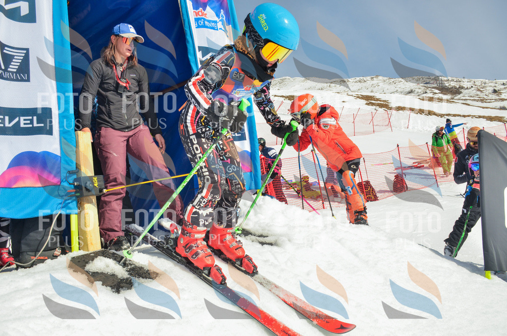 _ELE4817 | holidayphoto