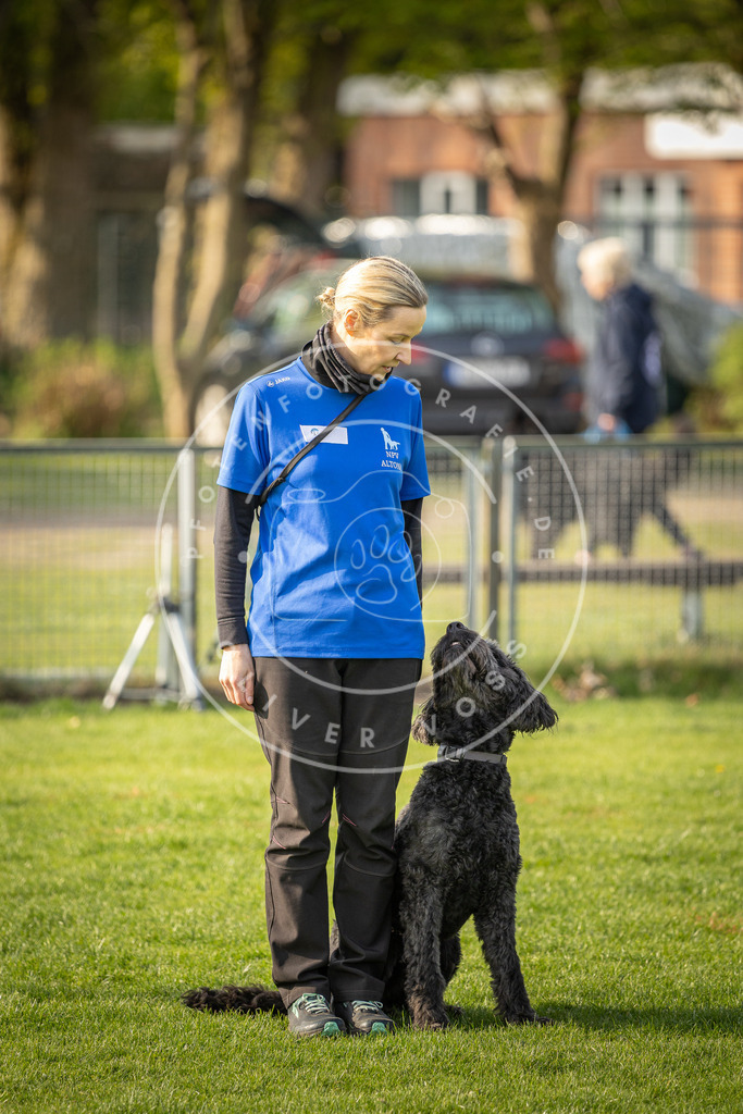 Pfotenfotografie_DV3A4789 | Hundefotografie, Tierfotograf, Pfotenfotografie, Fotoshooting Hund, Hunde Portrait, Hundesport, Hundeportraits, Heideshooting, Hunde, Sportfotograf, Hundefotograf, Turnierhundsport, THS,  - Realisiert mit Pictrs.com