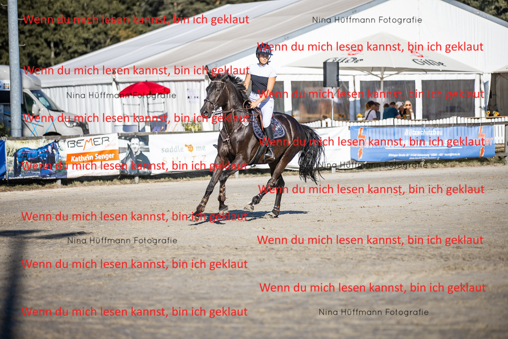 BK1A8594 | Turnierbilder Turnierfotos Nina Hüffmann Turnierfotografie Pferdefotografie Tierzeichnung Haustierzeichnung Pferdezeichnung Hundezeichnung Videograf  - Realisiert mit Pictrs.com