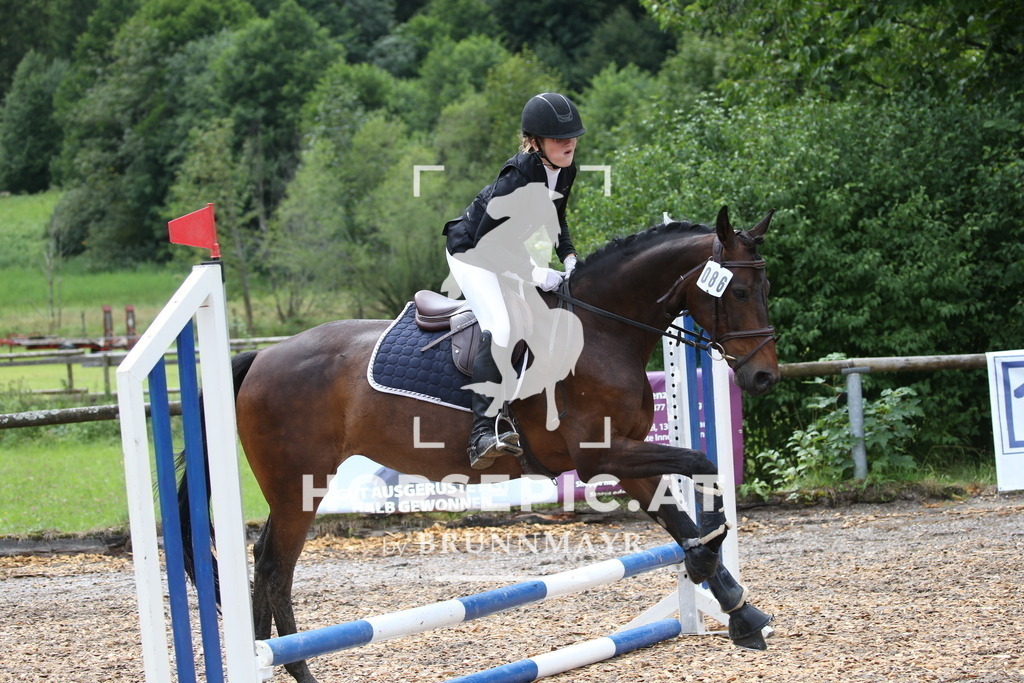 DL2Q3540 | Willkommen bei Brunnmayr - Design & Fotografie – Ihrem Spezialisten für Reitturniere und Pferdeveranstaltungen in Oberösterreich, Salzburg und Bayern! Seit über 17 Jahren sind wir leidenschaftlich dabei.