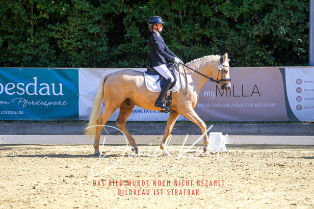 DKP41816 | Turniersportfotografie; Pferdefotografie; Dressurfotografie