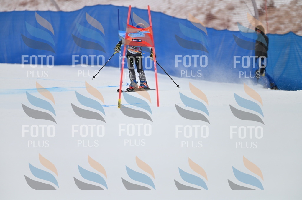 BGV_1867 | holidayphoto