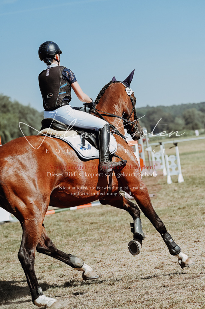 DSC_9809 | Pferde- und Turnierfotografie in Westsachsen. Pferdeportraits, Auftragszeichnungen und intuitive Kunst.