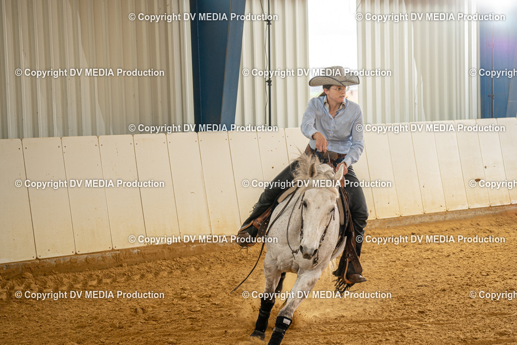 MIT01340 | dv-media-shop - Realisiert mit Pictrs.com