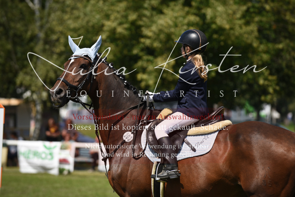 DSC_9954 | Pferde- und Turnierfotografie in Westsachsen. Pferdeportraits, Auftragszeichnungen und intuitive Kunst.