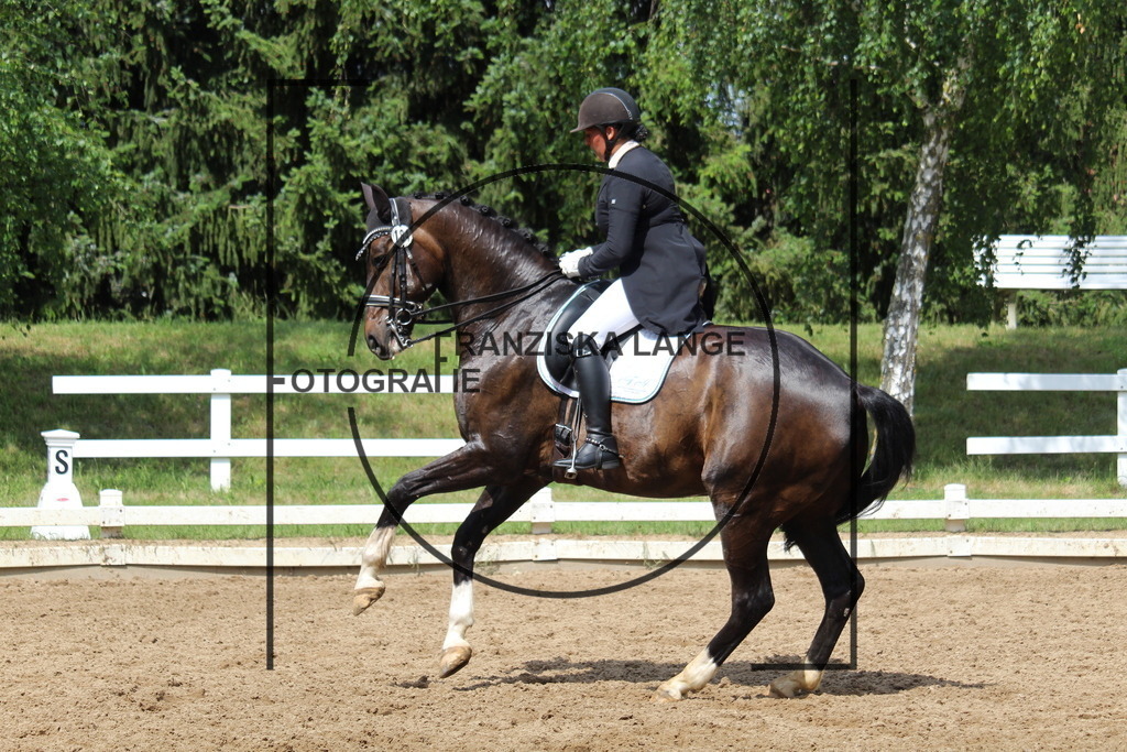 IMG_8956 | franziskalange - Realisiert mit Pictrs.com