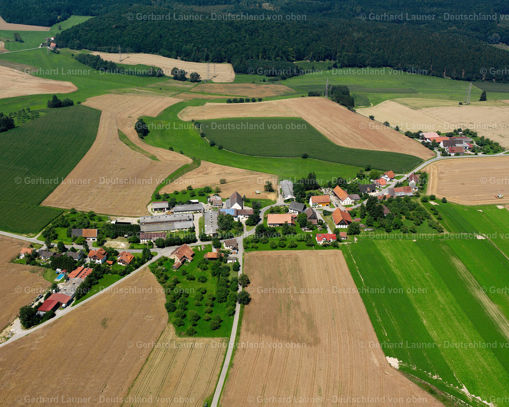 2536702 | Reischach, Wald