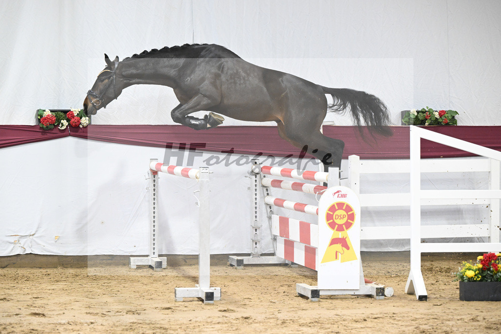 Kat-Nr. 73 Cornets Balou x For Pleasure_Michael Eichler_47252639 | hf-fotografie - Realisiert mit Pictrs.com