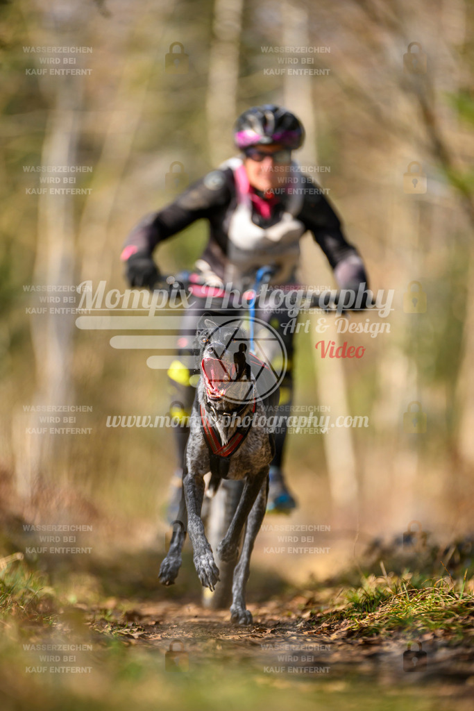MompixPhotography_6ReiatRennen2026_SO_Bike-3 | PayLife