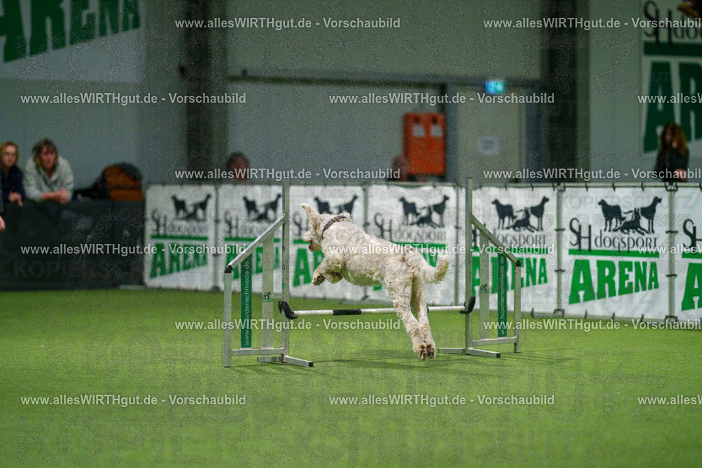 7R504269 | Professionelle Tierfotografie in Mönchengladbach von Daniel Wirth (allesWIRTHgut). Liebevolle & natürliche Bilder von Hunden & Katzen für unvergessliche Erinnerungen.