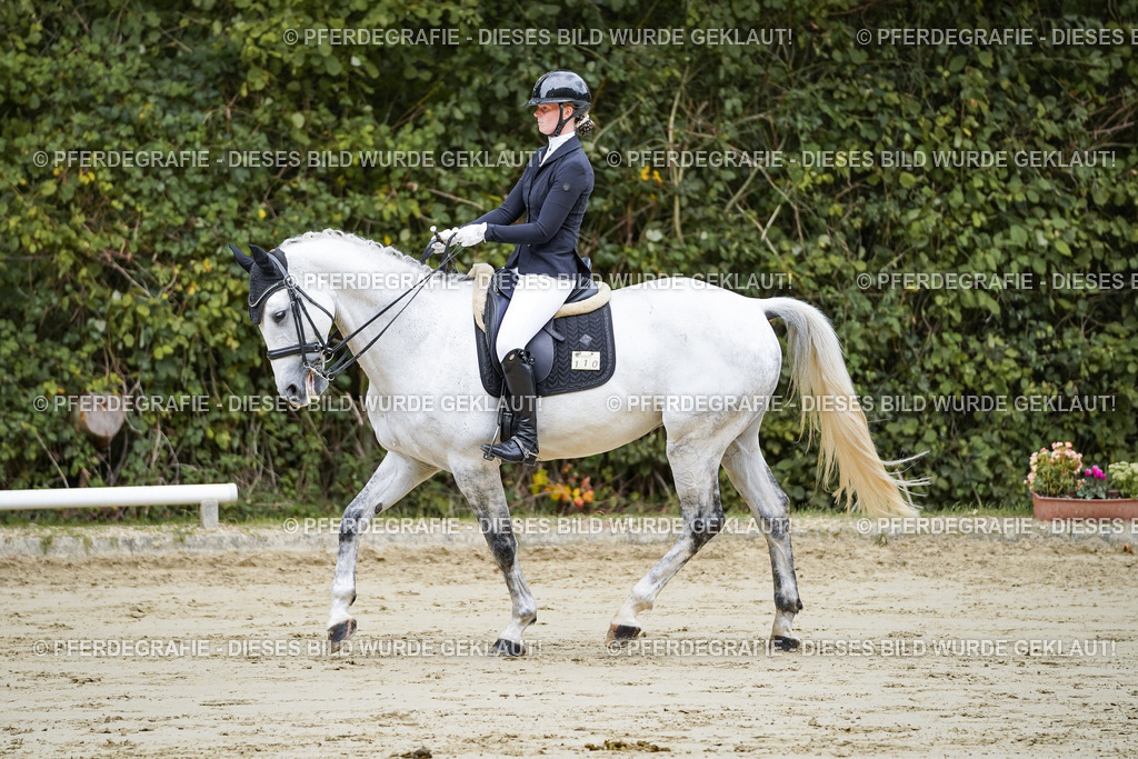 DSC08505 | Pferdegrafie