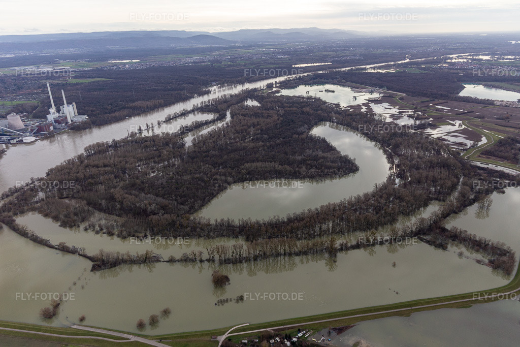 Luftbild: Hagenbacher Altrhein vor der Insel Nauas mit Goldgrund bei Rhein-Hochwasser im Ortsteil Maximiliansau in Wörth im Bundesland Rheinland-Pfalz in Deutschland. Foto: IMG_124263.jpg vom 04.02.2021 durch Werner Riehm/FLY-FOTO.de