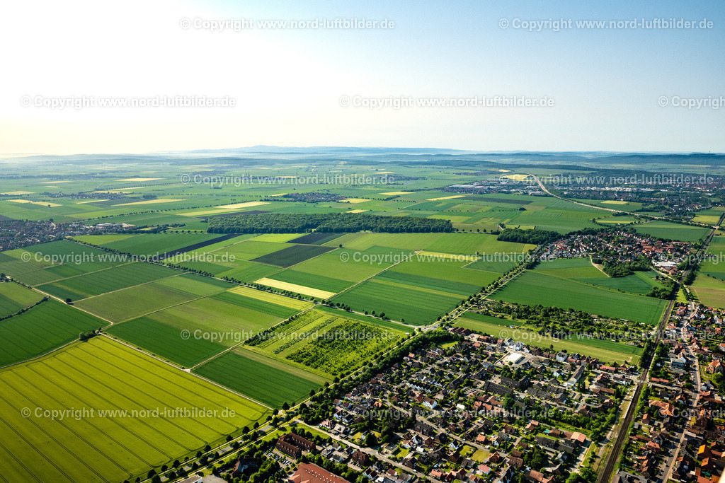 Asel_ELS_4344050623 | ASEL 05.06.2023 Strukturen auf landwirtschaftlichen Feldern in Asel im Bundesland Niedersachsen, Deutschland. // Structures on agricultural fields in Asel in the state Lower Saxony, Germany. Foto: Martin Elsen