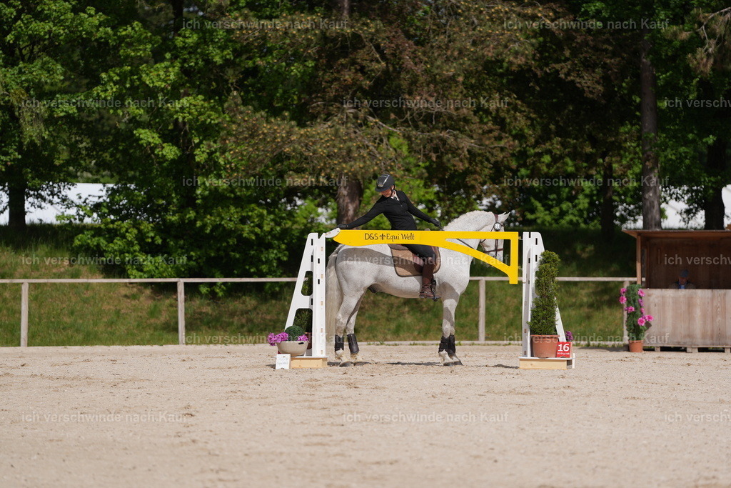 PI26_ST_Jan_Picutures7C_06907.JPG | working equitationturnier fotograf videograf stoibphotography marixx film working equitation deutschland reitsport turnierfotografie eventfotografie equestrian events