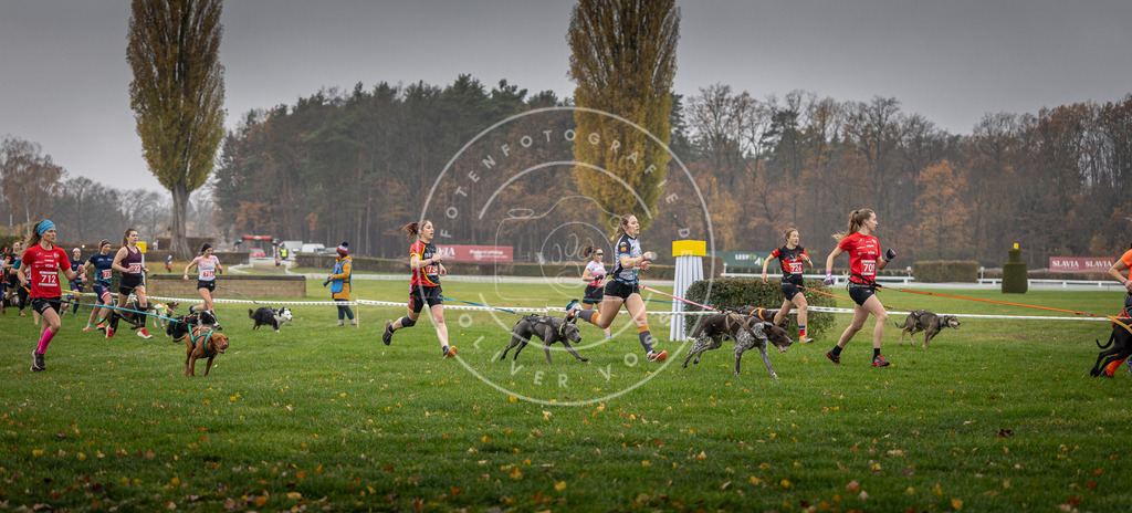 CaniXpix_DV3A8821 | Hundefotografie, Tierfotograf, Pfotenfotografie, Fotoshooting Hund, Hunde Portrait, Hundesport, Hundeportraits, Heideshooting, Hunde, Sportfotograf, Hundefotograf, Turnierhundsport, THS,  - Realisiert mit Pictrs.com