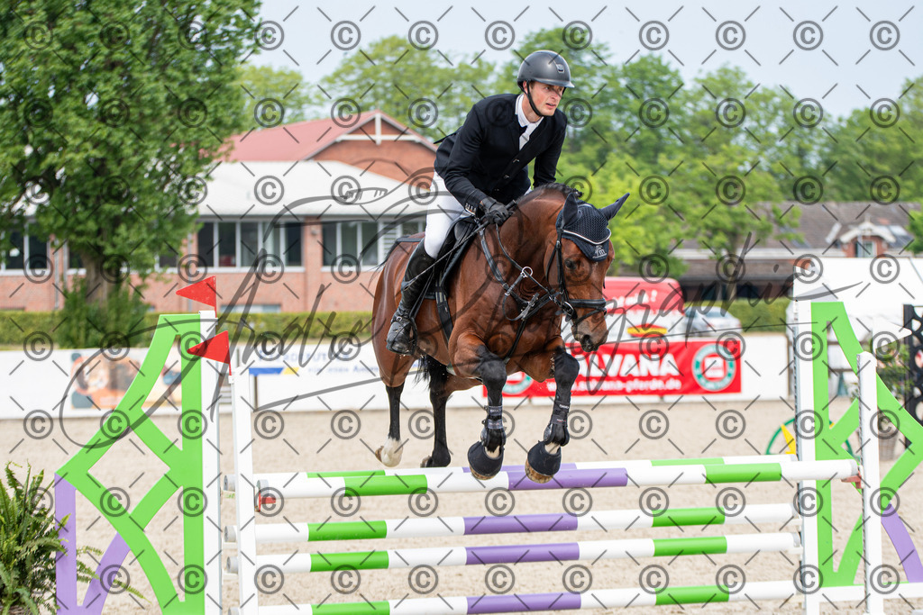 KPT_2712 | andre_photographic