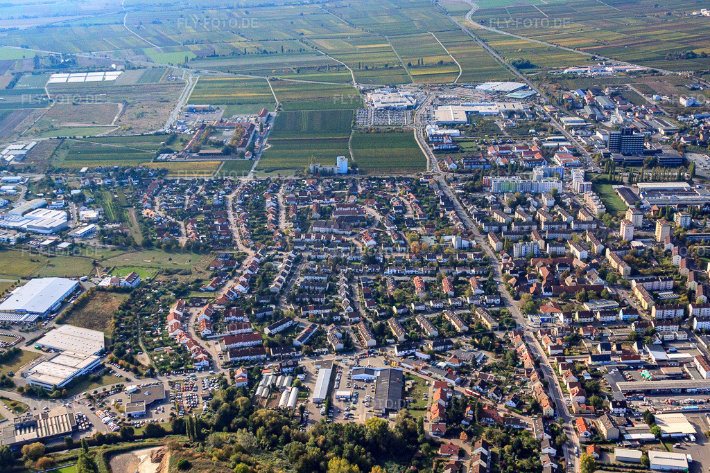 Luftbild: Adolf-Kolping-Straße in Neustadt an der Weinstraße im Bundesland Rheinland-Pfalz in Deutschland. Foto: IMG_22067.jpg vom 15.10.2009 durch Werner Riehm/FLY-FOTO.de
