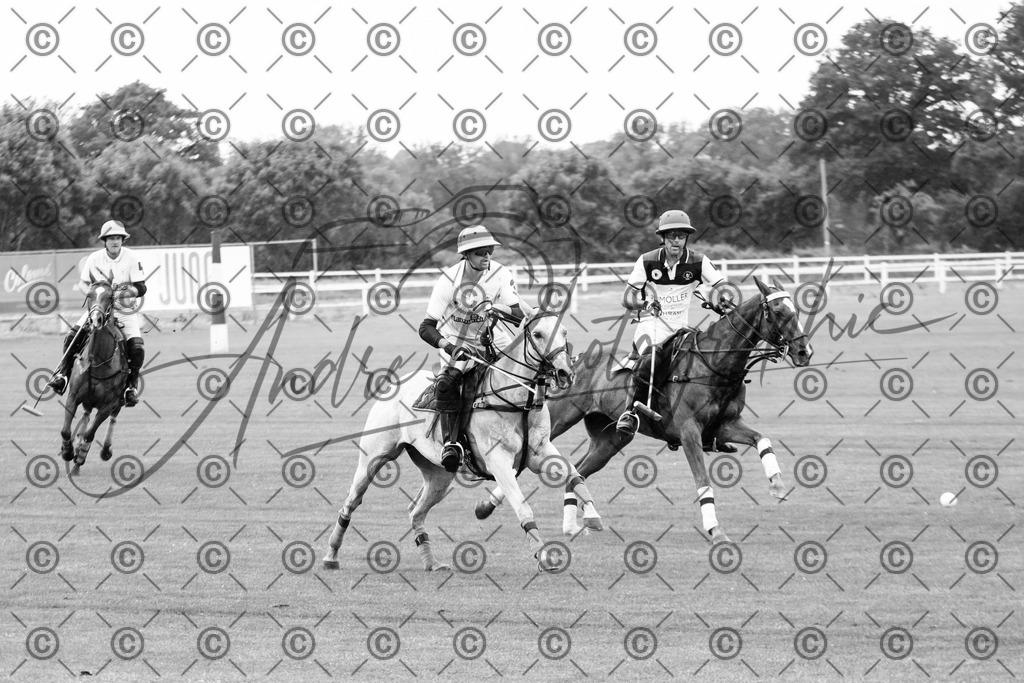 POL_2669-2 | andre_photographic