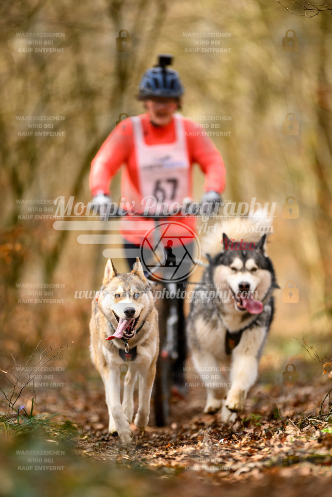 MompixPhotography_ReiatRennen2024_SO_DS2-41 | PayLife