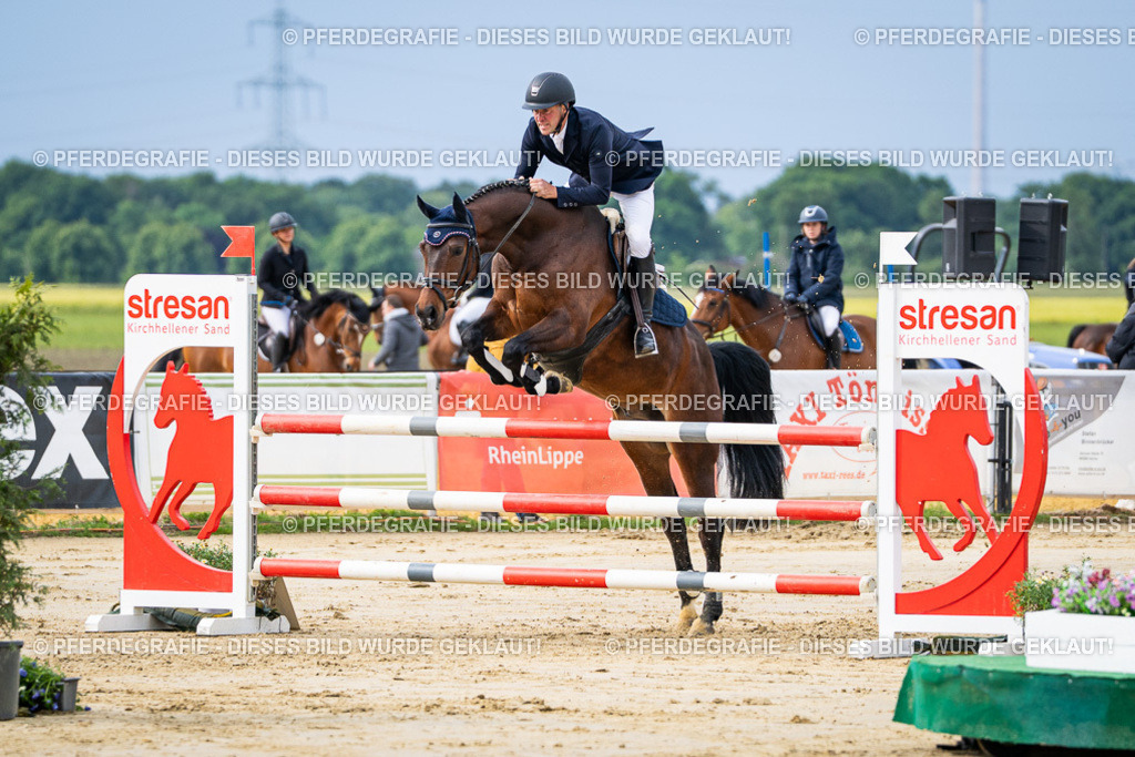 DSC03732 | Pferdegrafie