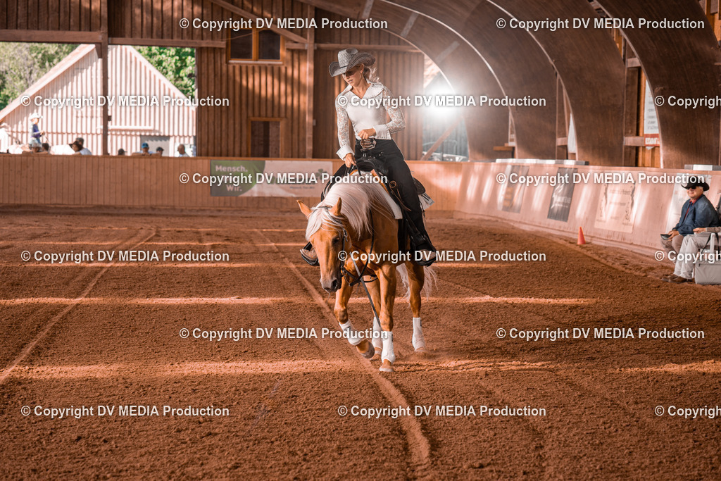 NE201272 | dv-media-shop - Realisiert mit Pictrs.com