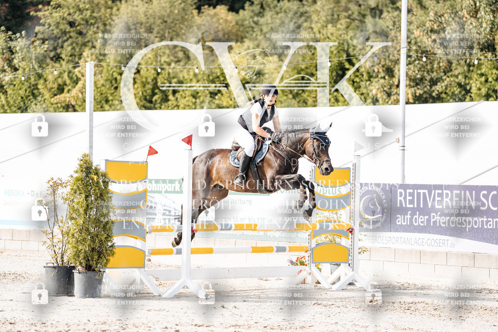 CK905737 | Turnierfotografie Pferdefotografie Trier Rheinland-Pfalz Pferdesport Reitsport Tierfotografie Sportfotografie Pferdevideo Pferdevideografie Equestrianvideography equestrianphotography  - Realisiert mit Pictrs.com