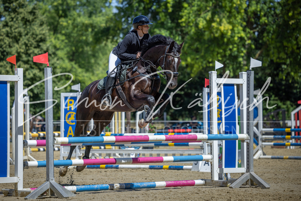 20260704-_3LI7981 | Tierfotografie Pferde, Hunde, Katzen, Haustiere.
Turnierfotografie Reitturniere, Reiten, Springreiten, Dressur in Hanau, dem Main-Kinzig-Kreis und dem Rhein-Main- Gebiet um Frankfurt