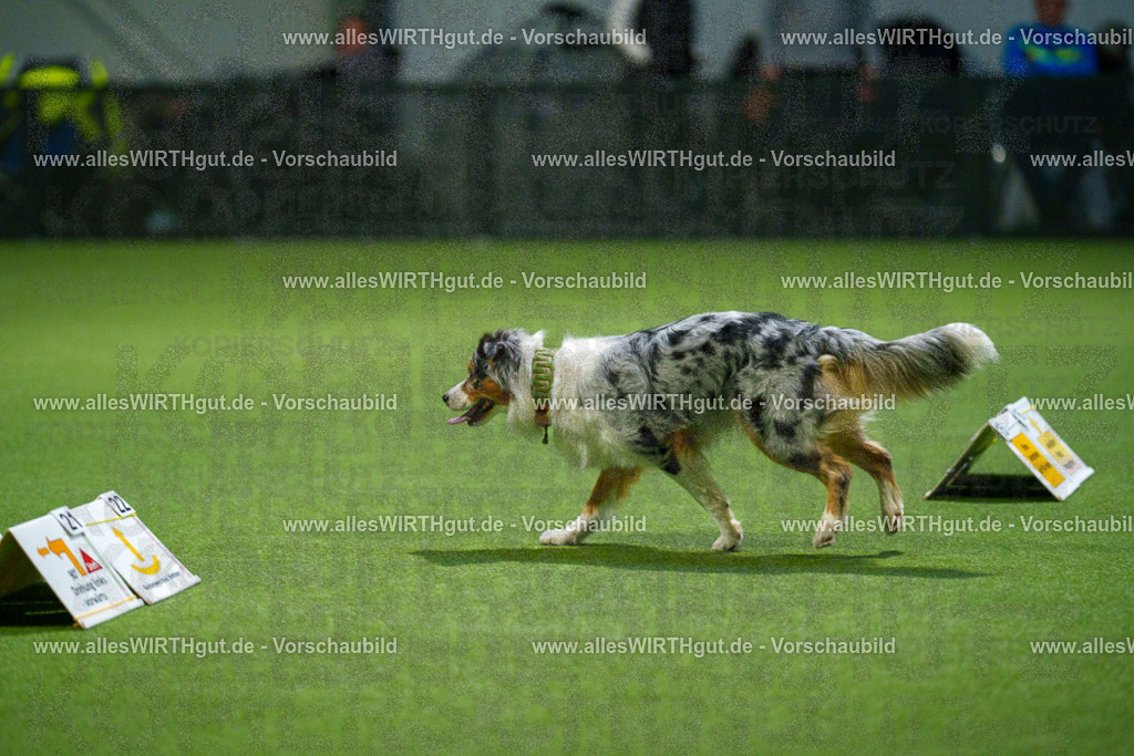 7R509569 | Professionelle Tierfotografie in Mönchengladbach von Daniel Wirth (allesWIRTHgut). Liebevolle & natürliche Bilder von Hunden & Katzen für unvergessliche Erinnerungen.