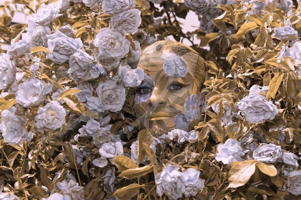 NatureArt-ROSAROSE_3807d1 | Eingefärbtes Rosengesicht | #002 | Modell: Nadja | Foto: Tschiponnique Skupin - Realisiert mit Pictrs.com