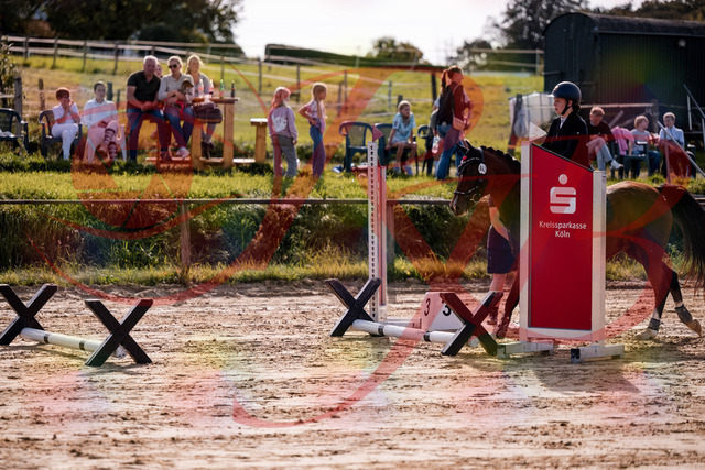 2026_10_03_Siefer-Hof_145705_Z81_38365913 | Professionelle Reitsport-, Turnier- und Eventfotografie von Robert Broda. Galerien mit ausgewählten und bearbeiteten Bildern direkt online ansehen und bestellen.