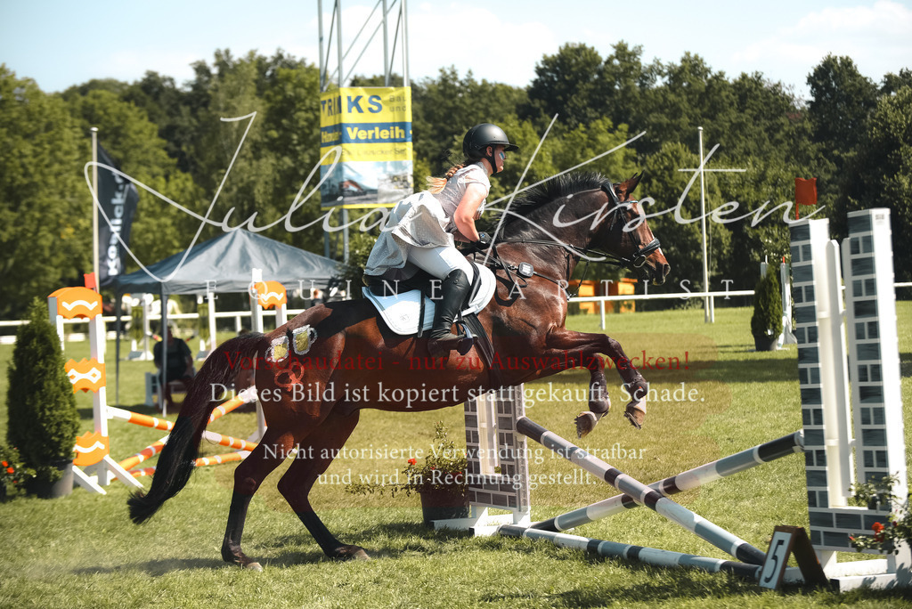 DSC_0378 | Pferde- und Turnierfotografie in Westsachsen. Pferdeportraits, Auftragszeichnungen und intuitive Kunst.