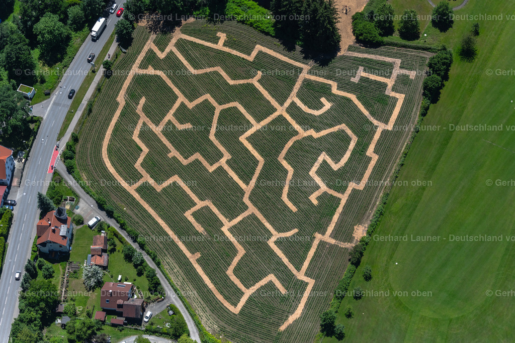 4031455 | LINDAU (BODENSEE) 12.06.2020 Irrgarten - Labyrinth des Lindauer Maislabyrinth in Lindau (Bodensee) am Bodensee im Bundesland Bayern, Deutschland. // Maze - Labyrinth on of Lindauer Maislabyrinth in Lindau (Bodensee) at Bodensee in the state Bavaria, Germany. Foto: Gerhard Launer