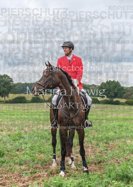 Jagd Perdoel_MarinaHewigDSCF3805 | Fotografie, FotoArt, PferdesportArt, Pferdesportfotografie, Landschaftsfotografie, Reisefotografie, Reise, Pferde - Realisiert mit Pictrs.com