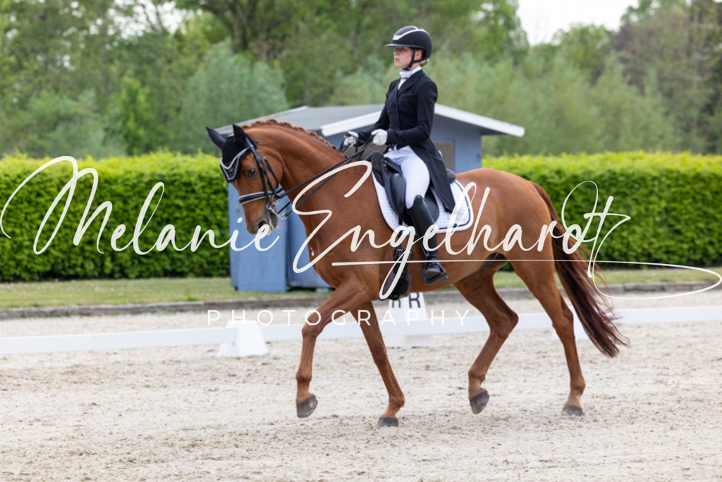 7I8A1779 | melanie-engelhardt-photography - Realisiert mit Pictrs.com